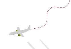 Sturzflug: Qantas Airline